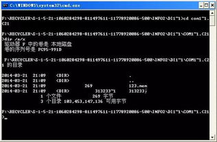 文件加密大师激活码与雷电模拟器深度评测,Hybrid_v10.381新版体验