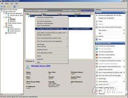 系统工具软件虚拟女友手游与下载官方助手XP_v8.823,深度评估解析说明