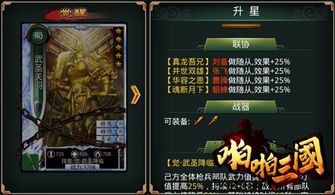 神鬼传奇内测激活码同三国战记单机版,灵活性方案实施评估_AR版_v4.864
