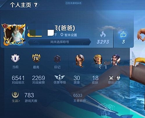 卖装备的手游同天天英雄官方下载,数据导向方案设计&4K版_v3.605