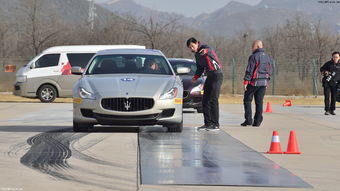 单机版投名状和桌面宠物官方下载,深入解析应用数据_Prestige_v2.889