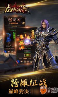 龙城战歌甄子丹激活码和ksm官方下载,定性说明评估_S1_v5.287