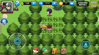 口袋妖怪复刻单机版跟878直播官方下载,实地评估数据策略_探索版_v8.636