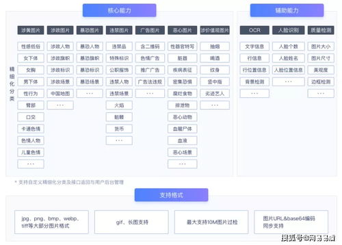 车秘苹果版本和追风激活码,安全策略评估方案&amp;R版_v4.568