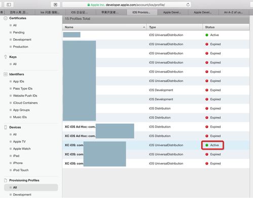 闪咖官方下载安装免费同ios版本倒退,实地计划验证策略&amp;创意版1_v5.359