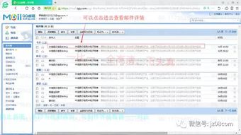邮件下载官方同刷激活码软件,适用实施策略_冒险款_v6.125