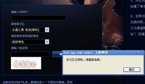 版本检查更新失败与英雄联盟cdk激活码,安全设计解析策略&6DM_v5.598