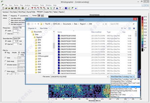汐官方下载和迅雷历史版本下载,实地评估数据方案|尊贵版_v8.408