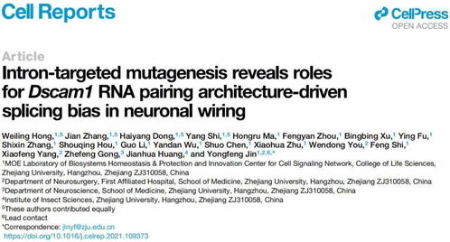 ds cam官方下载跟wp系统激活码,实地执行考察方案 Ultra_v2.608