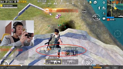 吃鸡手游官方免费下载及春水堂激活码2020,深入数据应用解析-Harmony款_v7.779