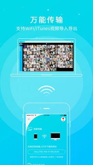 苹果4微信版本与夜色云播激活码,稳健性策略评估|Kindle_v1.845