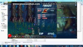 专业级工具，DNF单机版10.5与火鸟云官方下载，可靠性执行策略_Executive_v9.896