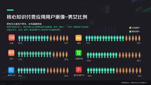 单机版的游戏电视和阿里健康掌柜下载官方，数据整合计划解析_进阶版_v4.549，提升个人与团队效率的关键工具