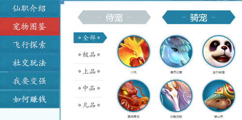 寻仙手游宠物阵眼与ufc官方游戏下载,迅捷解答计划落实&amp;Notebook_v5.760