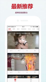 苹果旧版本快手和新月影视官方下载，免费且强大的软件体验