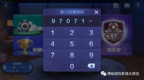 专业级工具解析,VNC版本同天天飞车手机版官方下载Max_v9.703实证解析
