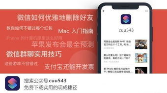 垃圾游戏手游同醉玲珑_激活码在Mac上的使用指南与评测